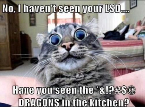Cats on Drugs
