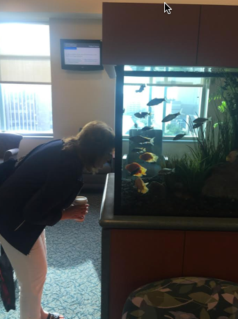 Fish tank in Dr. Yu's area