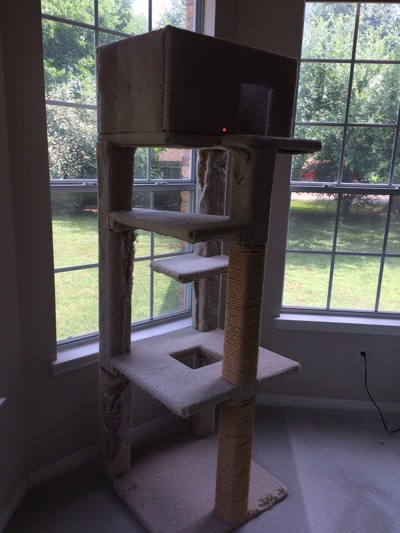 Kitty Condo